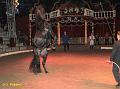 IMG_7249 aaa
